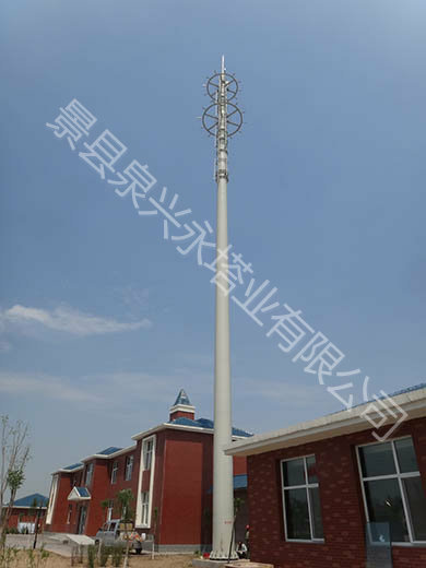 雙輪式景觀通信塔-2.JPG